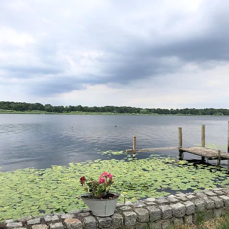 Ferienwohnung Auf Der Insel Werder  Dış mekan fotoğraf