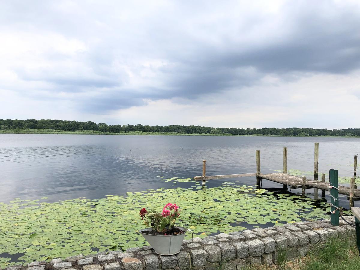 Ferienwohnung Auf Der Insel Werder  Dış mekan fotoğraf